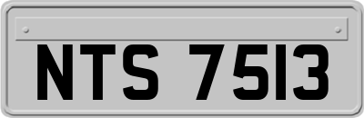 NTS7513