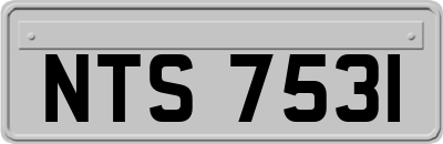 NTS7531