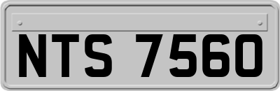 NTS7560