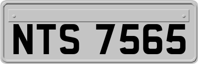 NTS7565