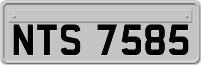 NTS7585