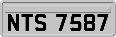 NTS7587