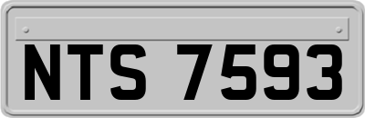 NTS7593