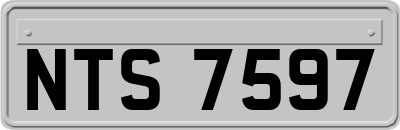 NTS7597