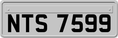 NTS7599