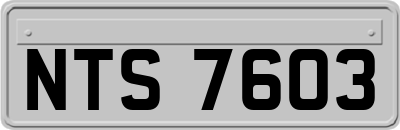 NTS7603