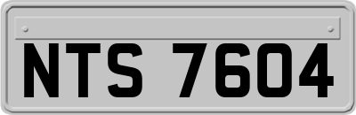 NTS7604
