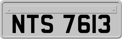 NTS7613