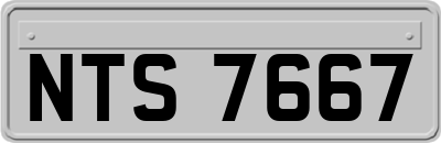 NTS7667