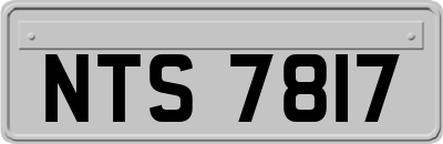 NTS7817
