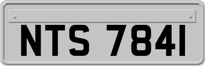 NTS7841