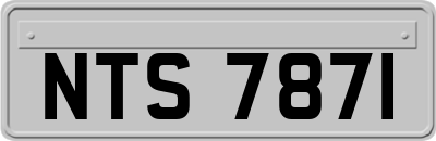 NTS7871