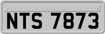 NTS7873