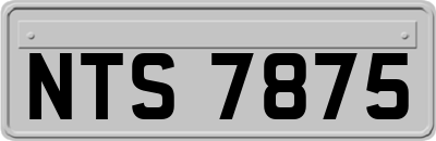 NTS7875