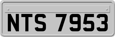 NTS7953