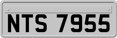 NTS7955
