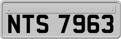 NTS7963