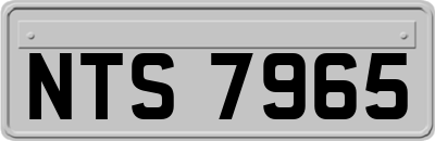 NTS7965