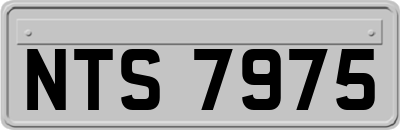 NTS7975