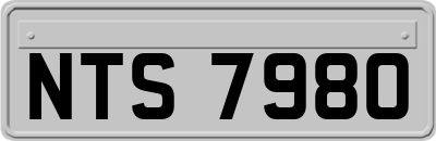 NTS7980
