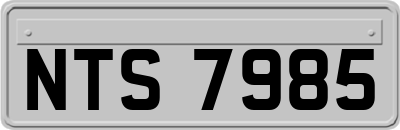NTS7985