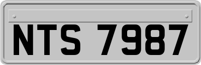 NTS7987