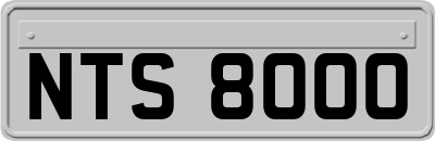 NTS8000