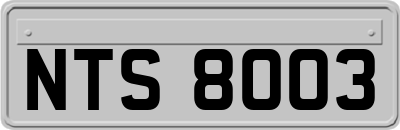 NTS8003