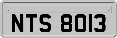 NTS8013