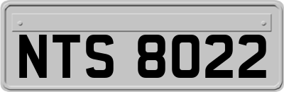 NTS8022
