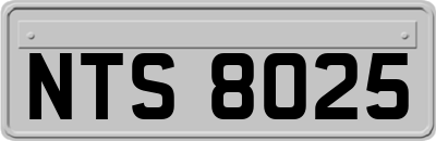NTS8025