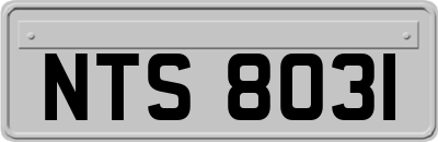 NTS8031