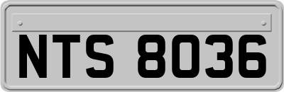 NTS8036