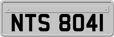 NTS8041