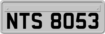 NTS8053