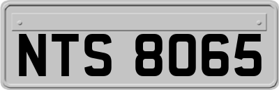 NTS8065