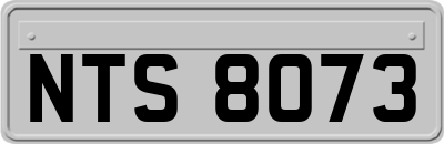 NTS8073