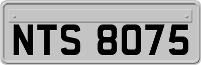 NTS8075