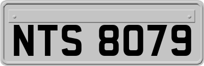 NTS8079