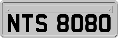 NTS8080