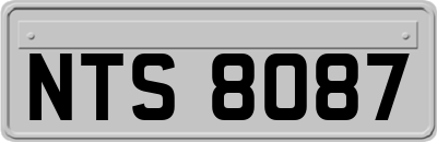 NTS8087