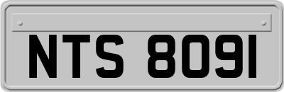 NTS8091