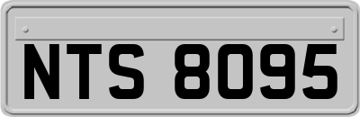 NTS8095