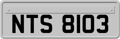 NTS8103