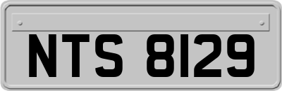 NTS8129
