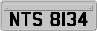 NTS8134