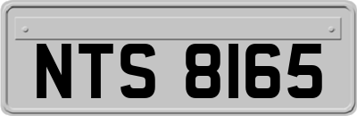 NTS8165