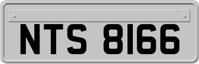 NTS8166