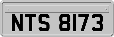 NTS8173