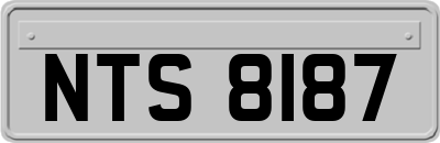 NTS8187